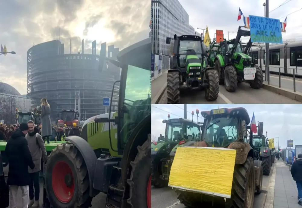 Acordul Mercosur scoate europarlamentarii în stradă. Georgiana Teodorescu: ”Securitatea alimentară e pusă în pericol” -VIDEO