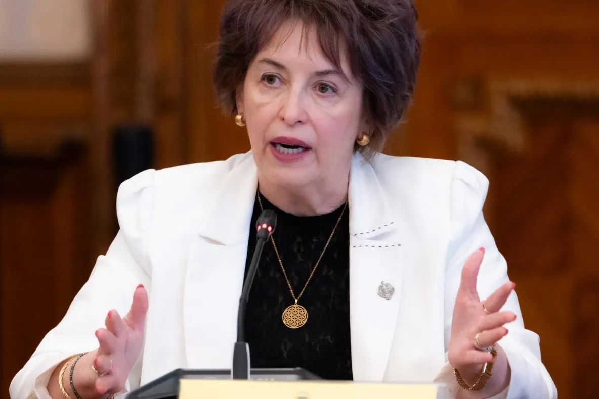 Senatorul AUR Niculina Stelea avertizează că prelungirea crizei politice și menținerea unui Guvern demis au împins România într-o stare de blocaj instituțional, economic și social