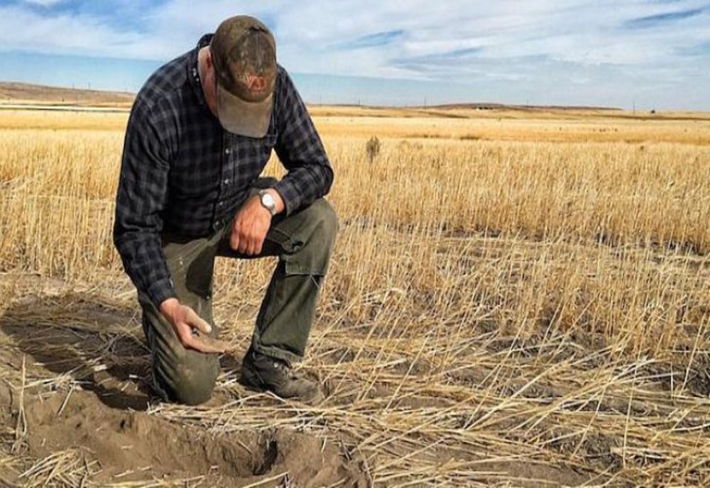 AUR a depus la Senat un proiect de lege pentru înfiinţarea Băncii pentru Dezvoltarea Agriculturii din România - Banca Agricolă SA