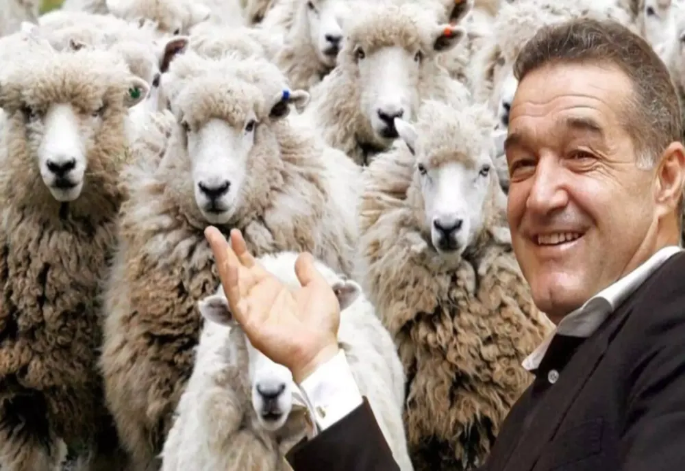 Umilință maximă pentru Becali - călcat în picioare de un apropiat: Pe fruntea lui scrie cu litere de-o șchioapă "PUȘCĂRIE". Ce caută ăsta în societatea românească?