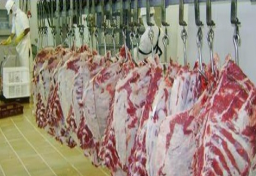 EXCLUSIV. CULISELE STATULUI PARALEL. Industria cărnii. Din exportatori am ajuns să importăm totul. „S-a dorit politic distrugerea acestei industrii”