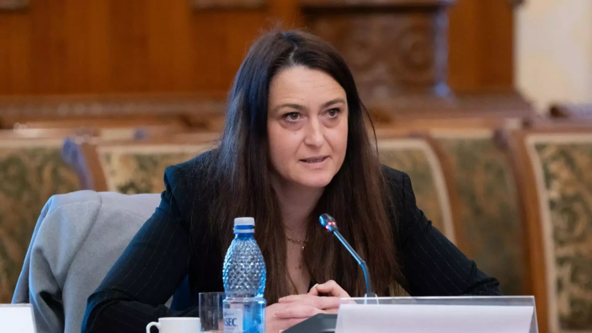 Cristina Butură (deputat AUR)