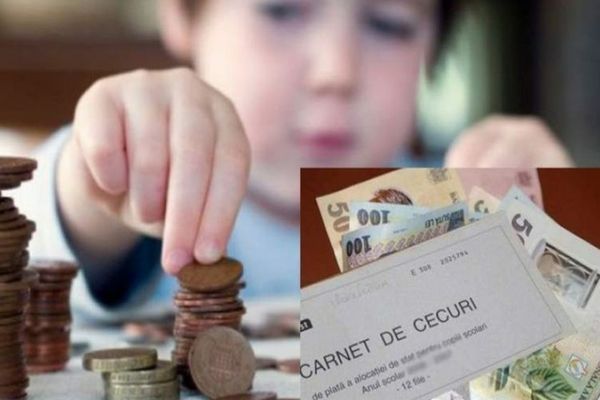 AUR a găsit soluția pentru dublarea alocațiilor: Propunere legislativă depusă la Senat!