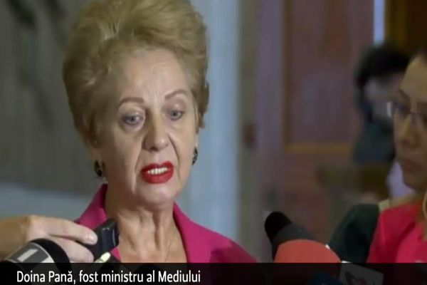 CULISELE STATULUI PARALEL Cum acționează mafia lemnului, ce spune ministrul otrăvit cu mercur