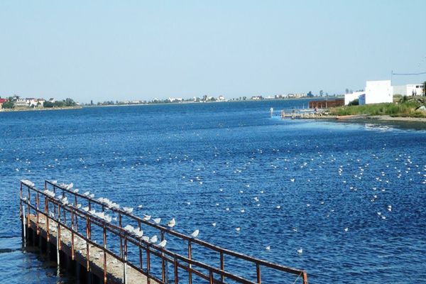 Nămolul de la Techirghiol, dat unui sponsor al PNL. Cum a împărțit omul lui Cîțu resursele țării - legăturile cu PSD