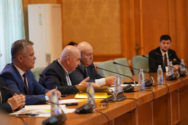 MEMORANDUMUL PENTRU CONCEDIERILE DE LA SENAT, PLIN DE GREȘELI! CINE SUNT PROTEJATELE LUI ILIE BOLOJAN