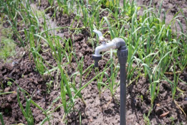 LIDER AUR: ”ROMÂNIA ARATĂ CA O COLONIE. INVENTEAZĂ LEGI CA SĂ IA APA!” VIDEO