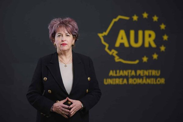 NICULINA STELEA, AUR: AVEM NEVOIE DE UN MINISTER AL CULTURII CARE SĂ ACȚIONEZE CU PROFESIONALISM ȘI INTEGRITATE, NU DE O INSTITUȚIE CARE ASISTĂ IMPASIBILĂ LA DISTRUGEREA TRECUTULUI NOSTRU
