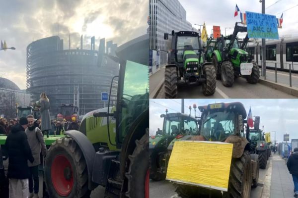 Acordul Mercosur scoate europarlamentarii în stradă. Georgiana Teodorescu: ”Securitatea alimentară e pusă în pericol” -VIDEO