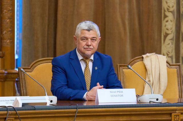 Ninel Peia acuză un „jaf național” în scandalul în care sunt implicați frații Micula