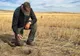 AUR a depus la Senat un proiect de lege pentru înfiinţarea Băncii pentru Dezvoltarea Agriculturii din România - Banca Agricolă SA