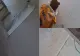 AMENINȚĂRI LA ADRESA UNUI CONSILIER AUR DIN ILFOV DUPĂ CE A RECLAMAT NEREGULI LA REPARAȚIILE UNEI ȘCOLI: “TE DEZMEMBREZ!”