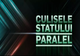 Culisele statului paralel | Mafia lemnului nu iartă! Până unde vor merge crimele și măcelul pădurilor țării?